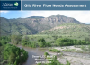 Gila River Flow Needs Assessment webinar screen shot