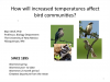 How Will Increased Temperatures Affect Bird Communities? webinar